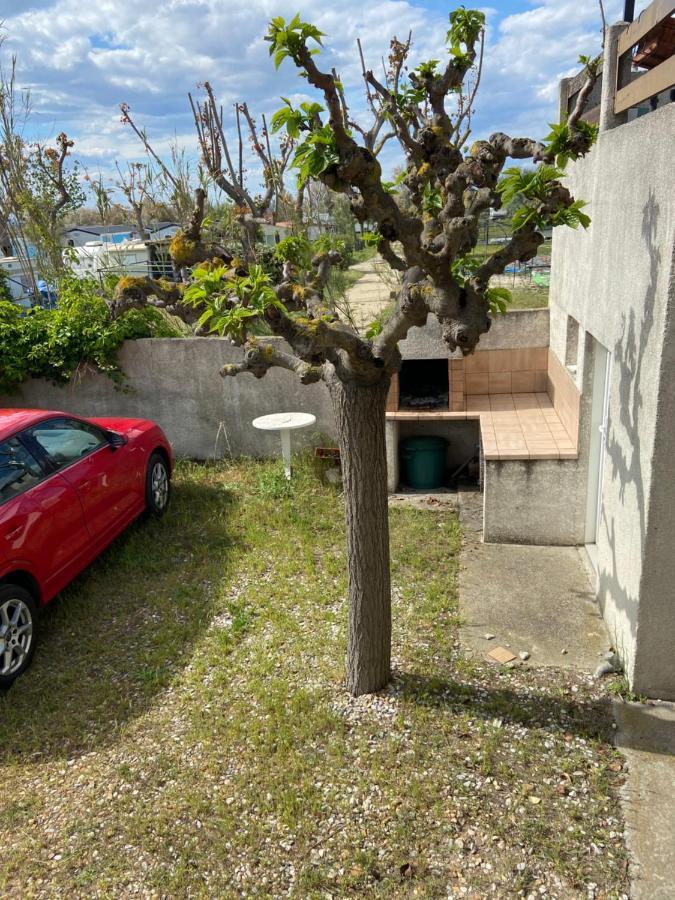 Appt Avec Parking, Clim, Wifi A 50 M De La Plage Палава-ле-Фло Екстериор снимка